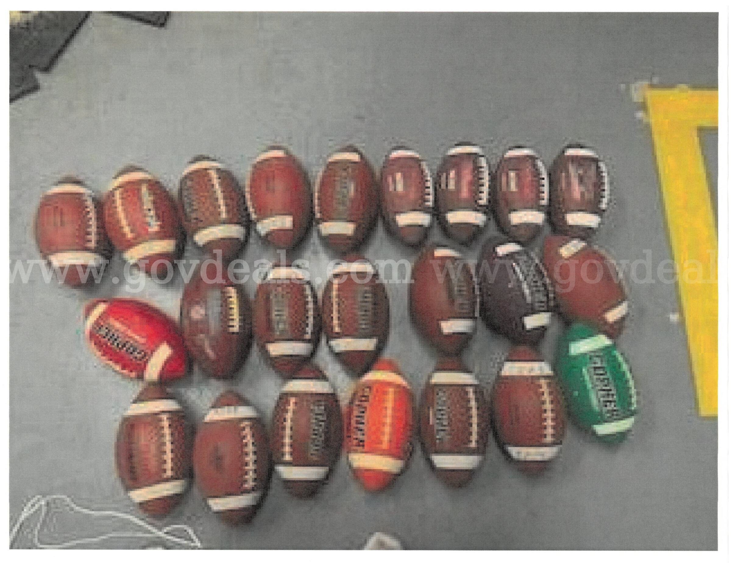 Bulk Footballs – Wilson, Gopher,  + Mesh Bag