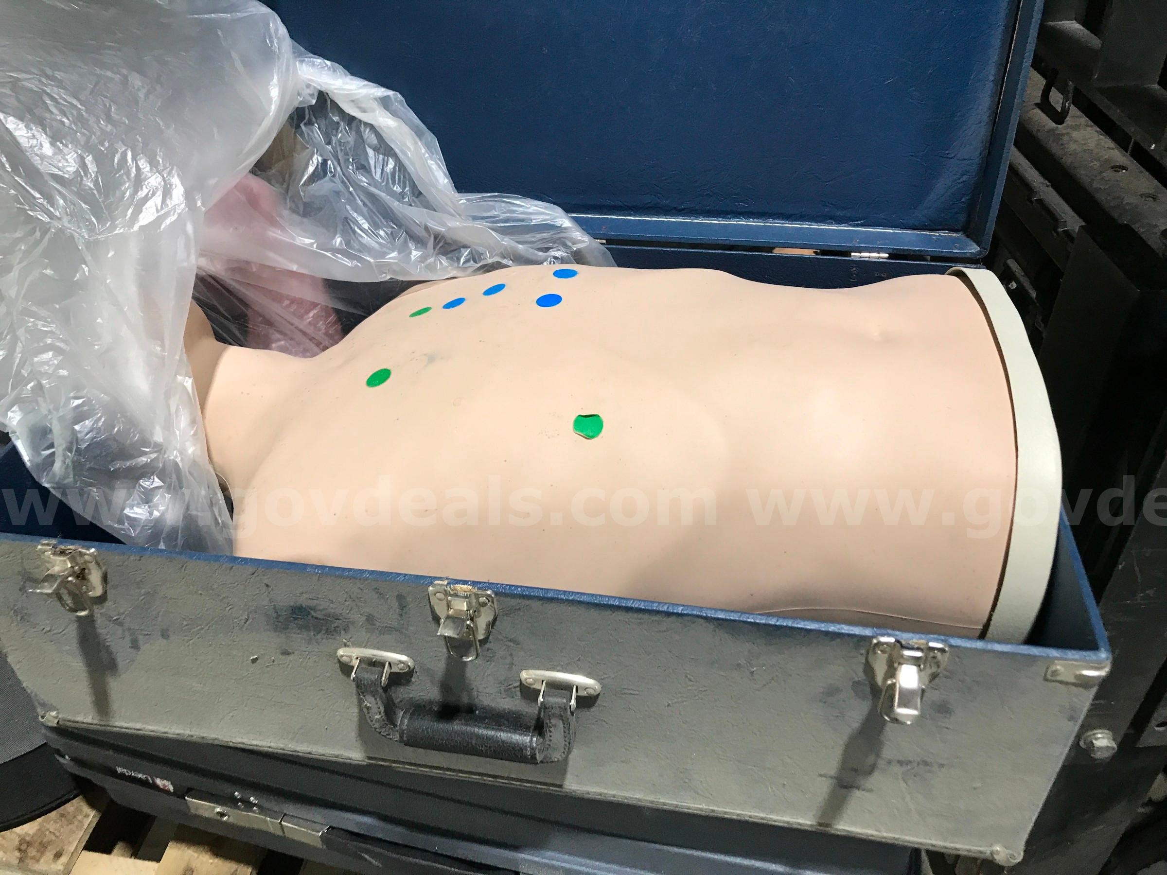 LOT OF MANIKINS AND PARTS ON ONE PALLET.   Government Surplus Auction - Photo #4
