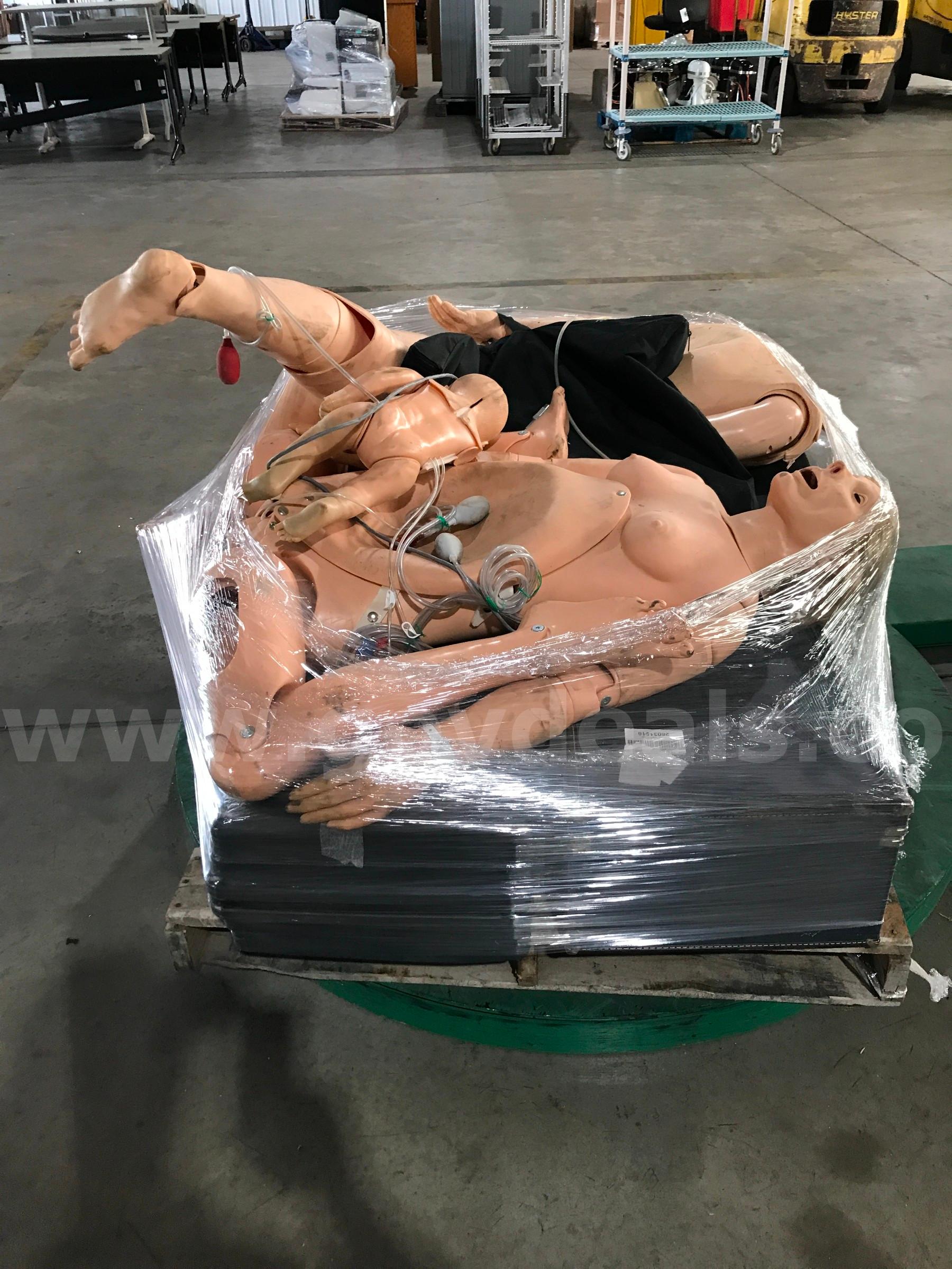 LOT OF MANIKINS AND PARTS ON ONE PALLET.   Government Surplus Auction - Photo #6