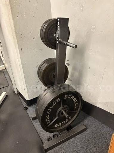 Lot 15 Legend Fitness Commercial 6-Peg Weight Trees (Quantity of 3)   Government Surplus Auction - Photo #2