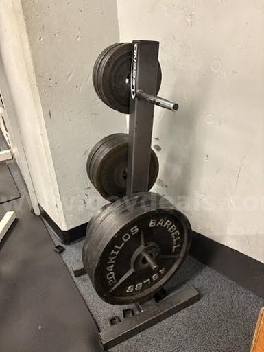 Lot 15 Legend Fitness Commercial 6-Peg Weight Trees (Quantity of 3)   Government Surplus Auction - Photo #3