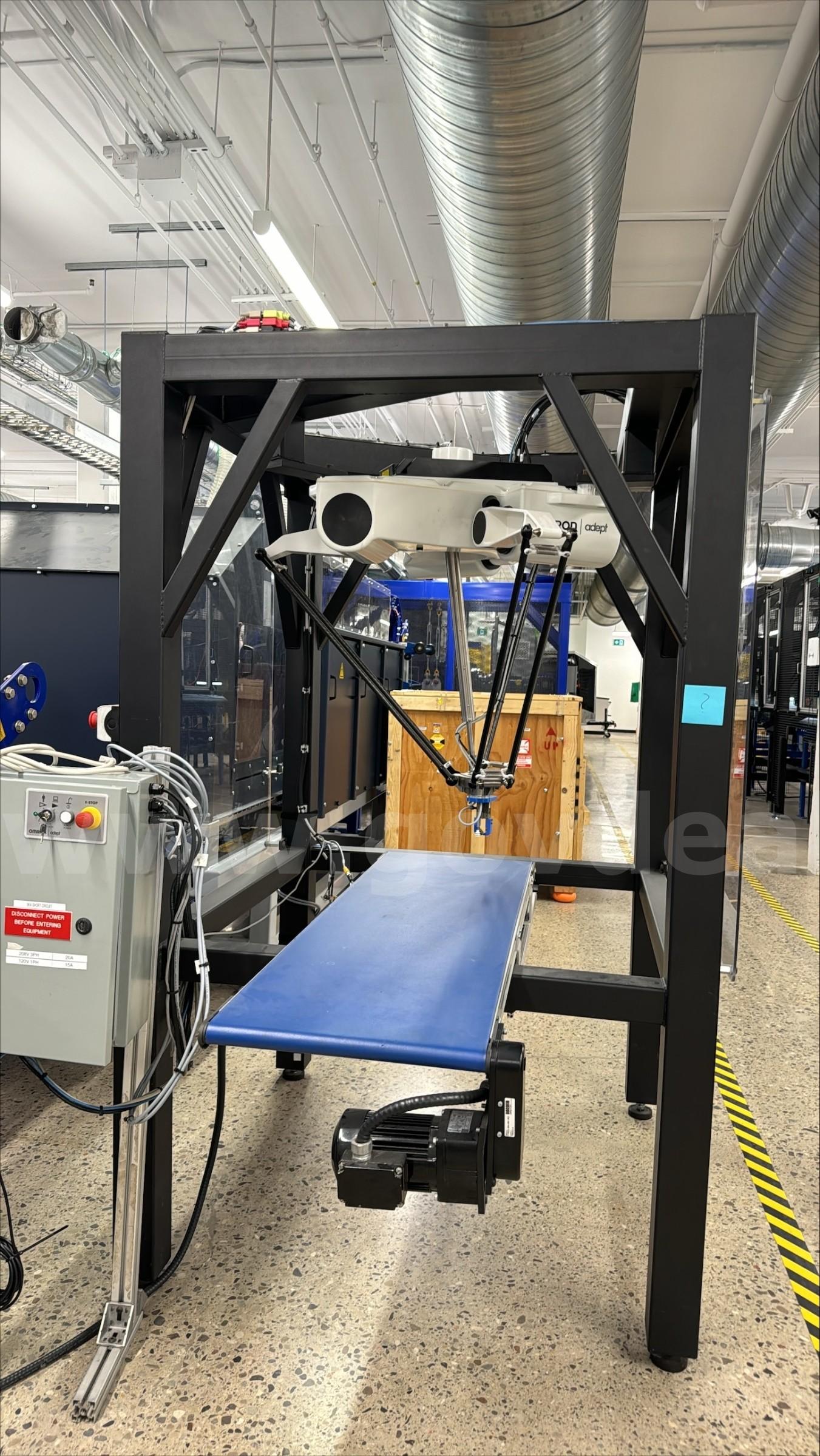 Hornet Parallel Robot Cell with Dorner 2200 Series Conveyor Belt