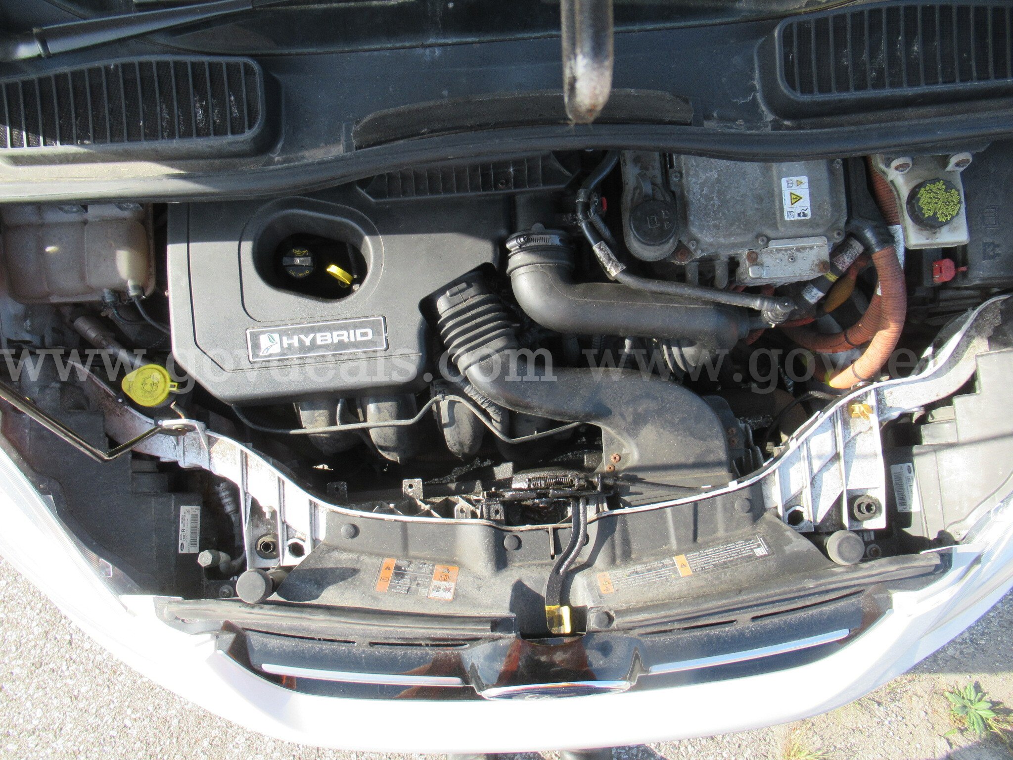 2016 Ford C-Max Hybrid SE Ford C-Max Hybrid Government Surplus Auction - Photo #6