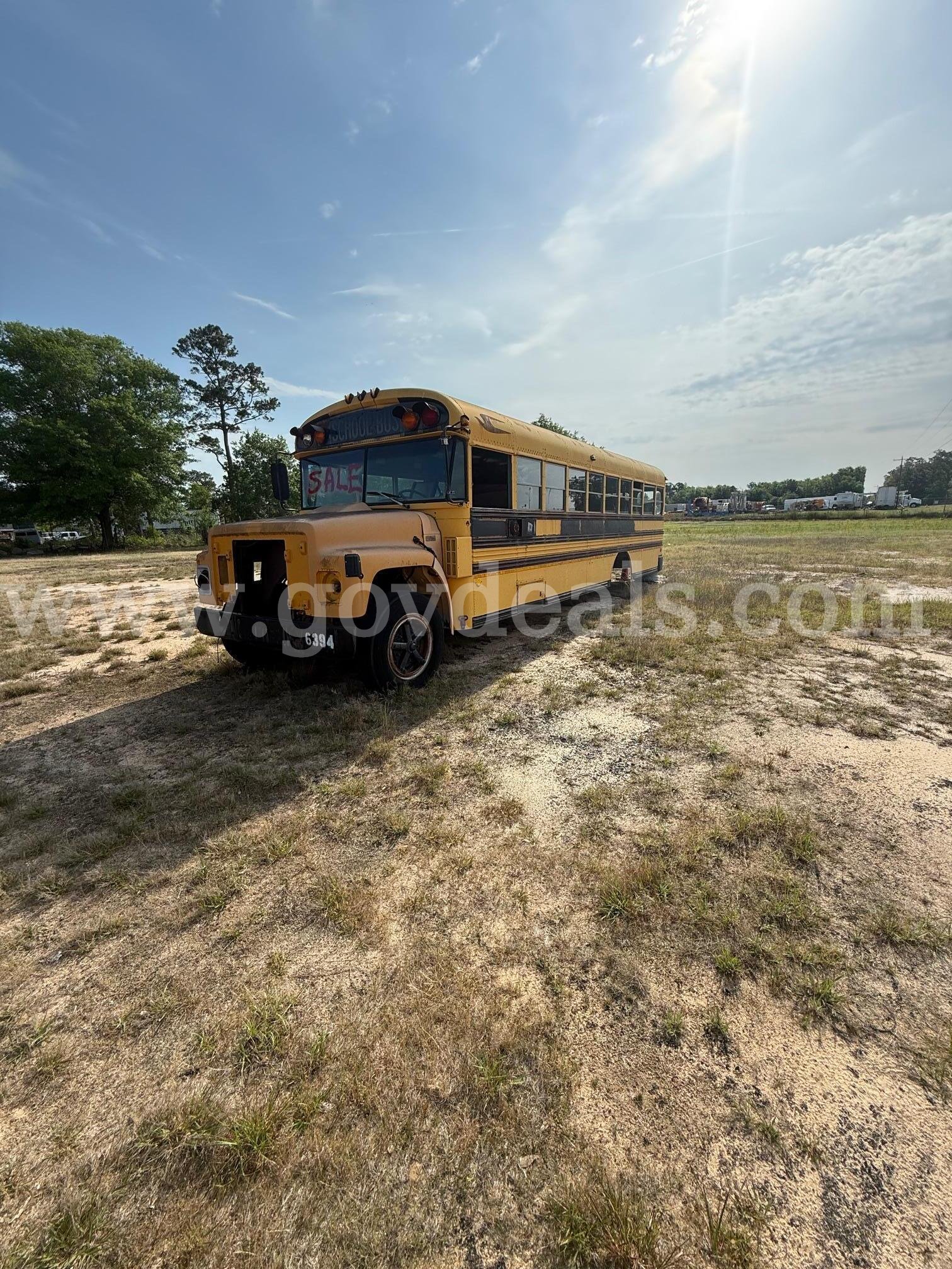 Lot of Junk/Scrap School Buses (62 Total)   Government Surplus Auction - Photo #3