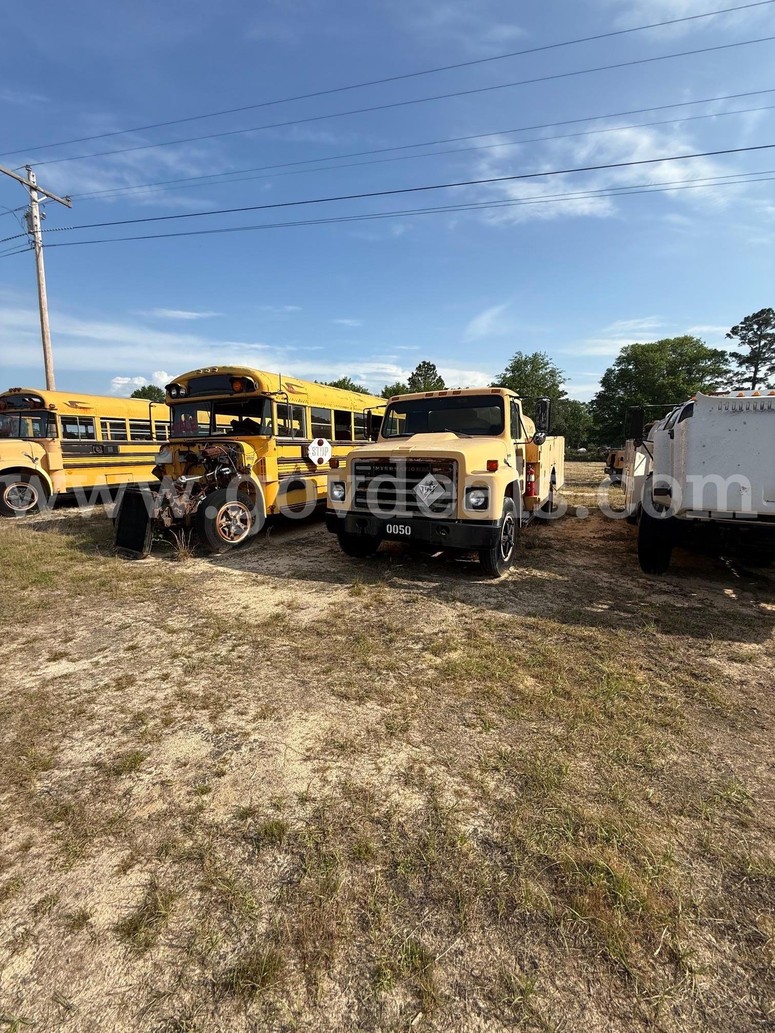 Lot of Junk/Scrap School Buses (62 Total)   Government Surplus Auction - Photo #6