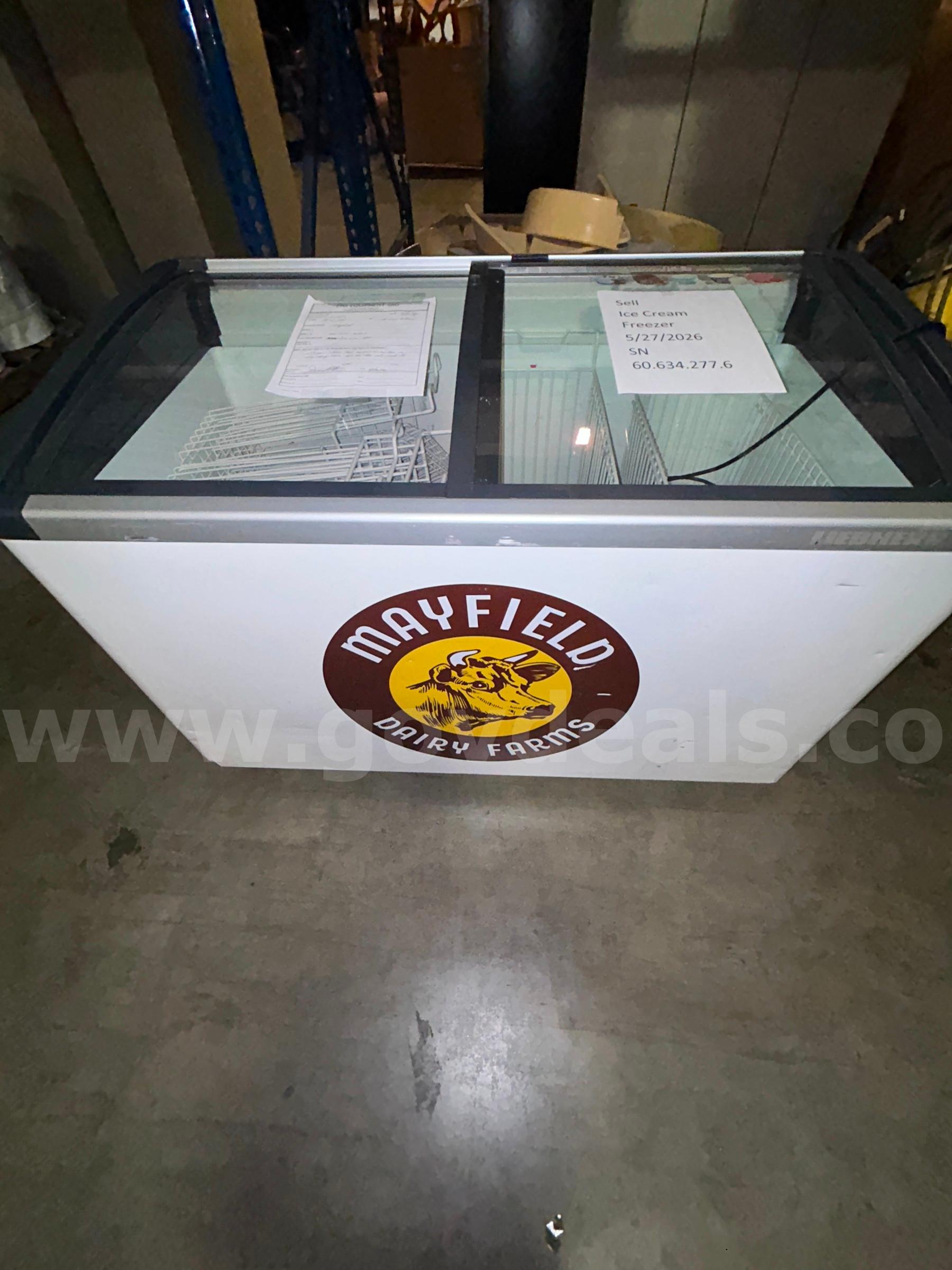 Ice Cream Freezer
