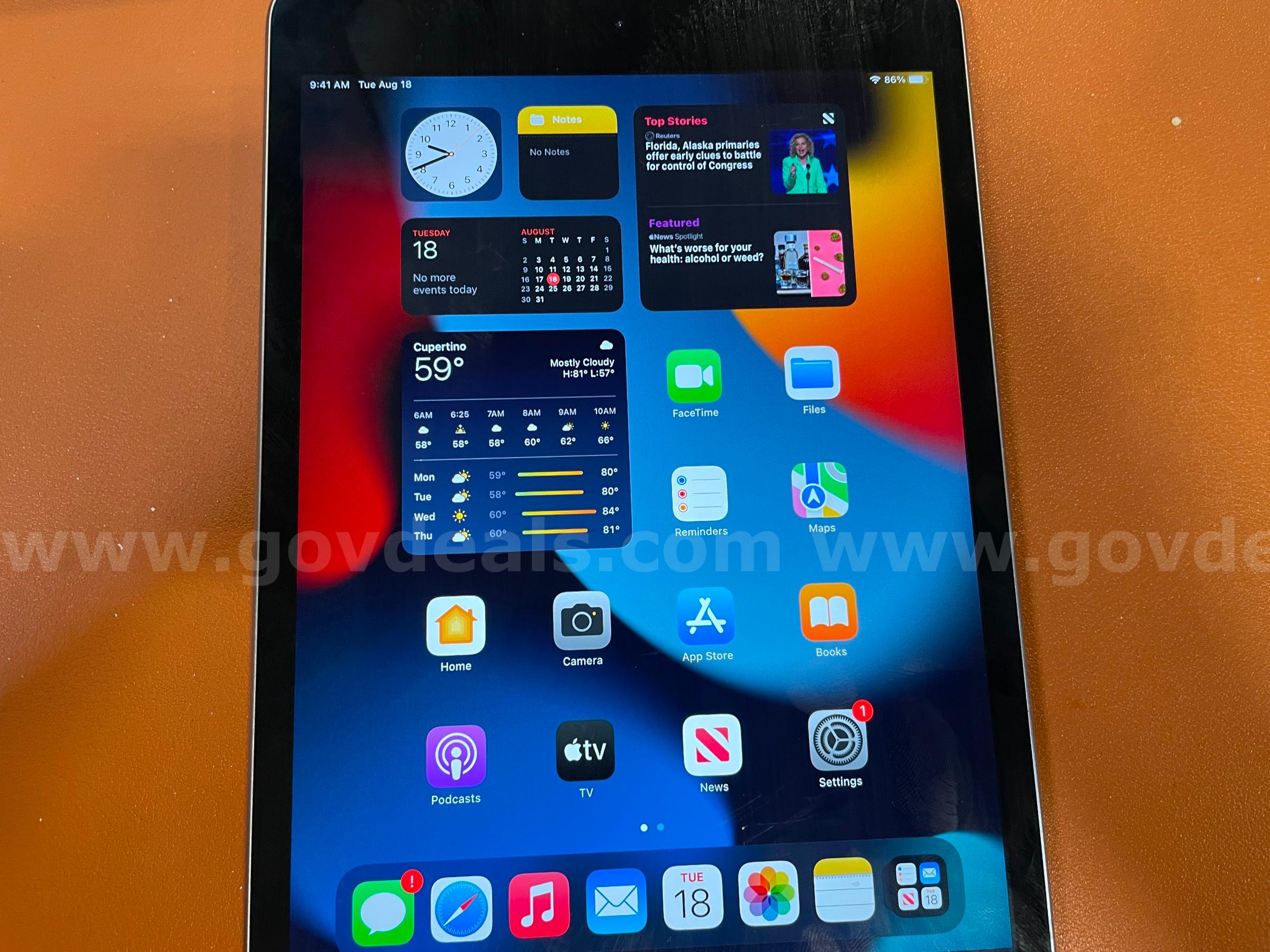 iPad Mini 4 | WiFi only | 32GB (ID# 47325 ) (D-Case) (NoUPC) Apple iPad Mini Government Surplus Auction - Photo #3