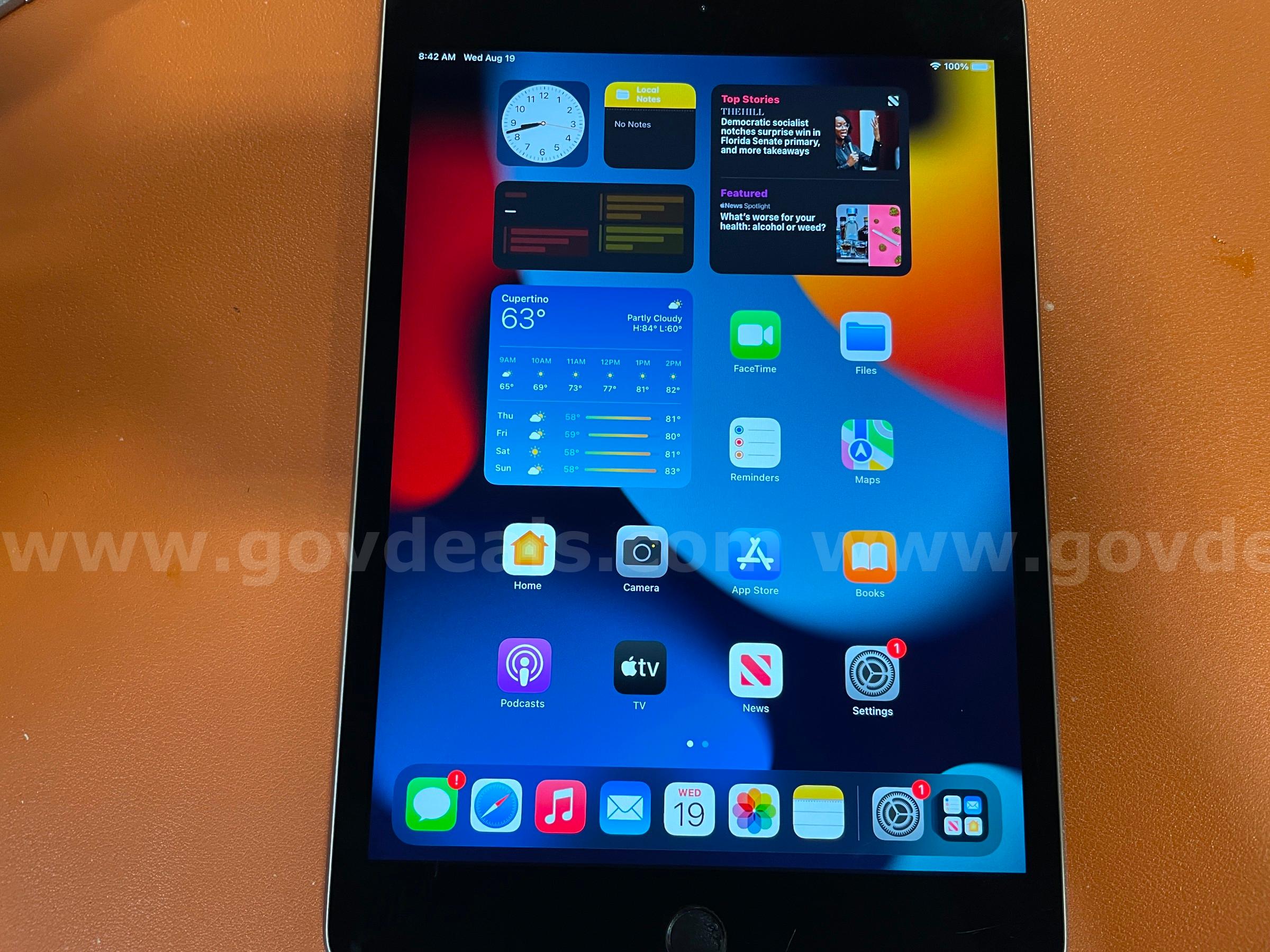 iPad Mini 4 | WiFi only | 32GB (ID# 47382) (D-Case) (NoUPC) Apple iPad Mini Government Surplus Auction - Photo #3