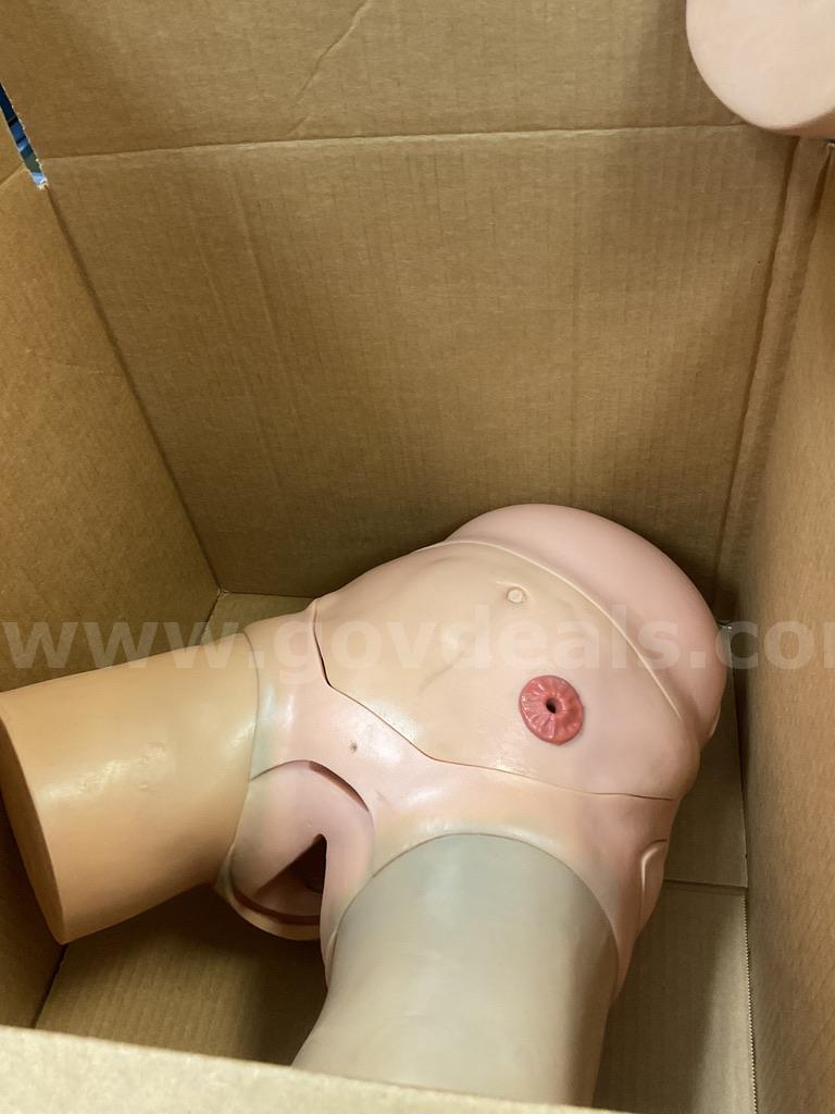Torso Ostomy Trainer Life Form Simulator  Government Surplus Auction - Primary Photo