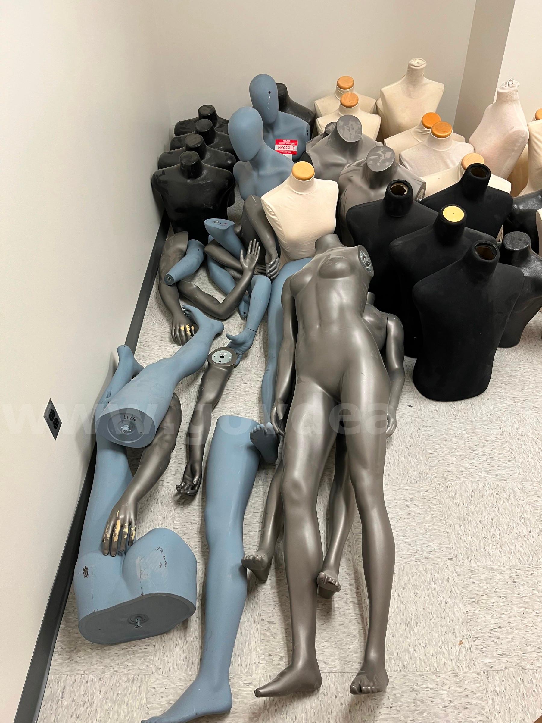 Bulk Mannequins   Government Surplus Auction - Photo #2