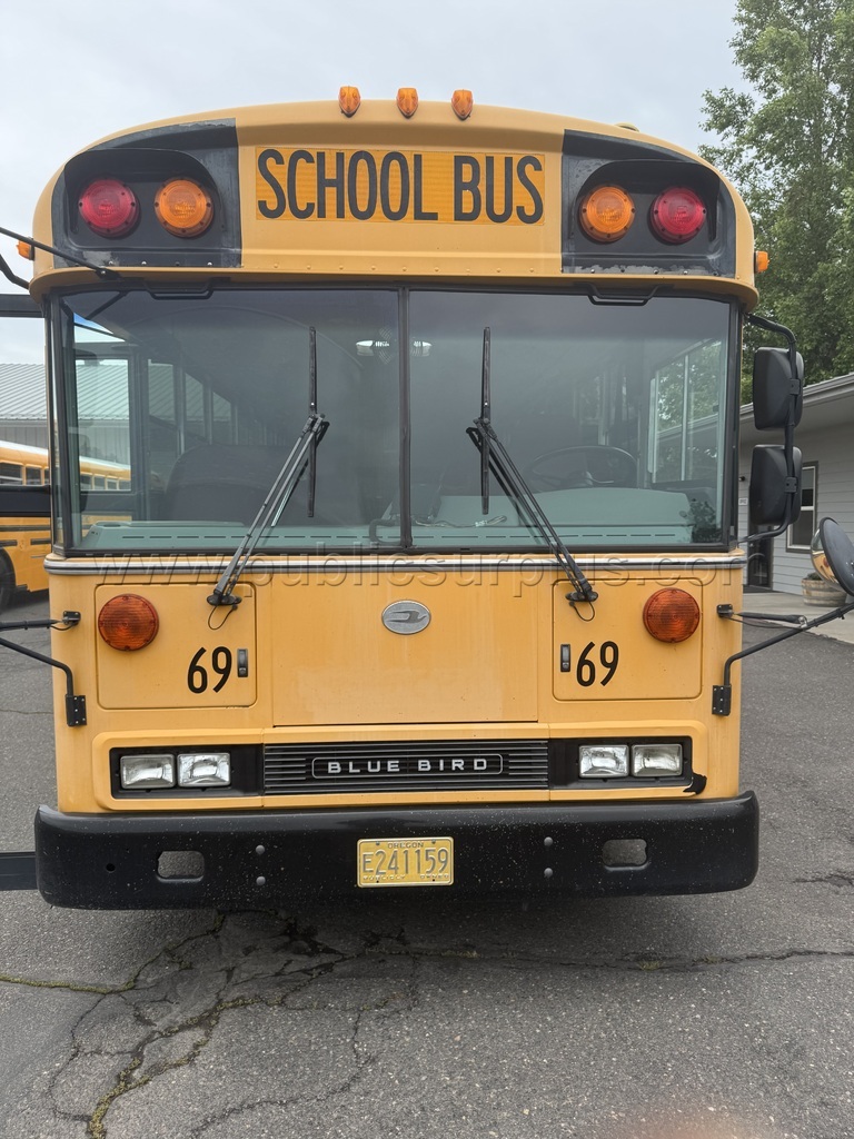 2008 BLUEBIRD
