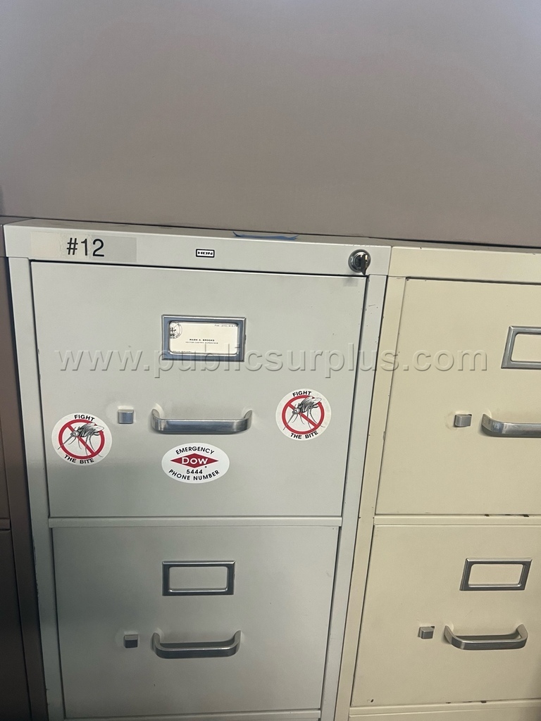 Vertical Filing Cabinets - 4-Drawer Steel (1 unit)   Government Surplus Auction - Photo #2