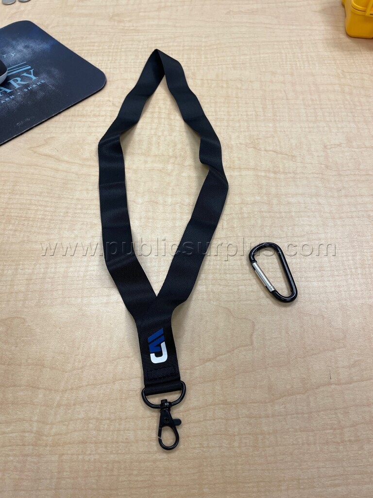 Lanyards and Carabiners - 30 of each