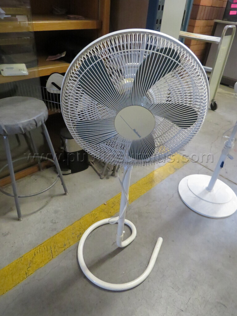 Standing Fan   Government Surplus Auction - Primary Photo