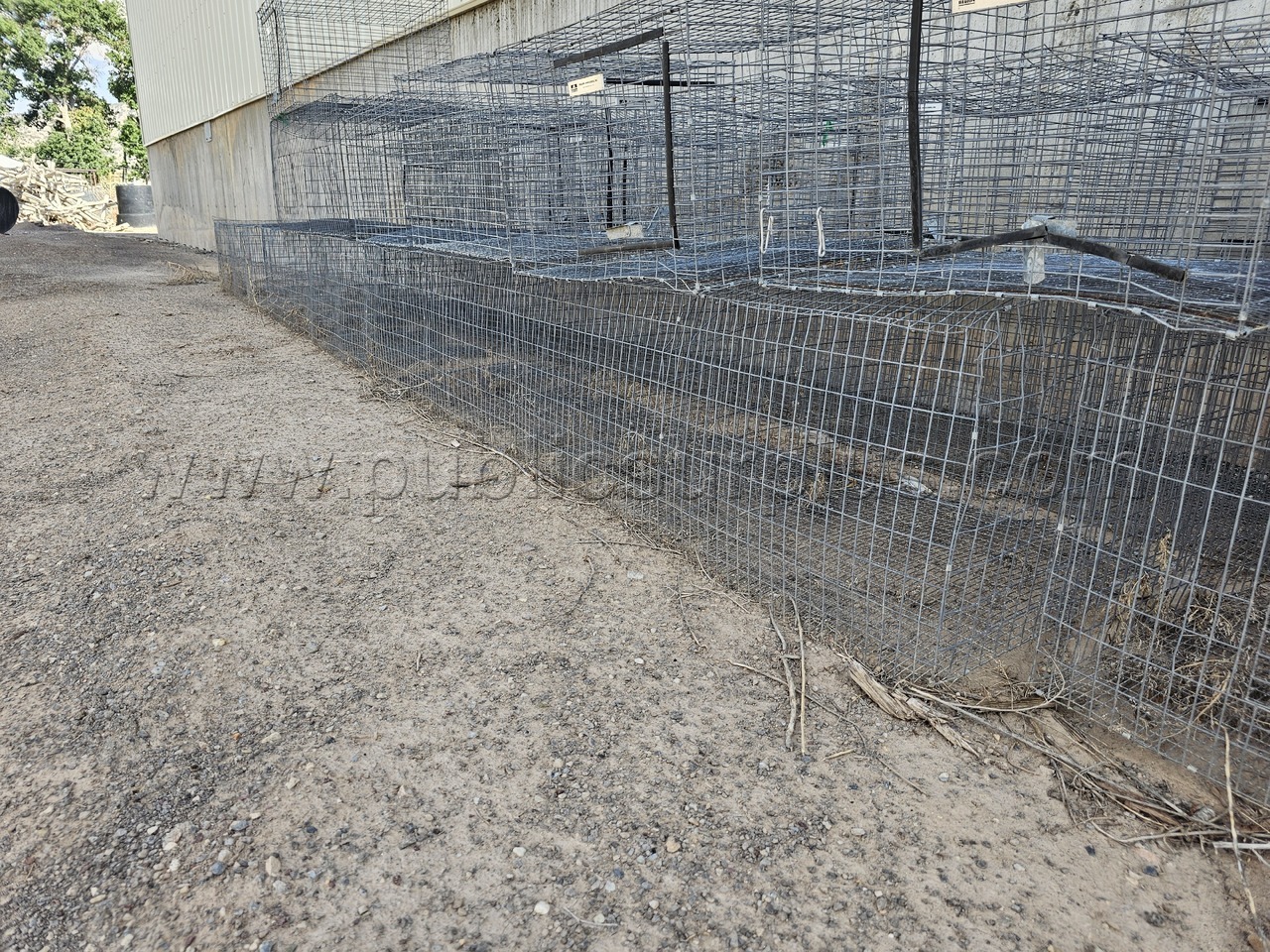 Rabbit Cages   Government Surplus Auction - Photo #9