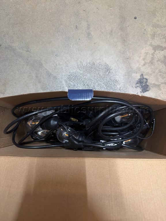 Plug-In LED String Lights - E   Government Surplus Auction - Photo #4